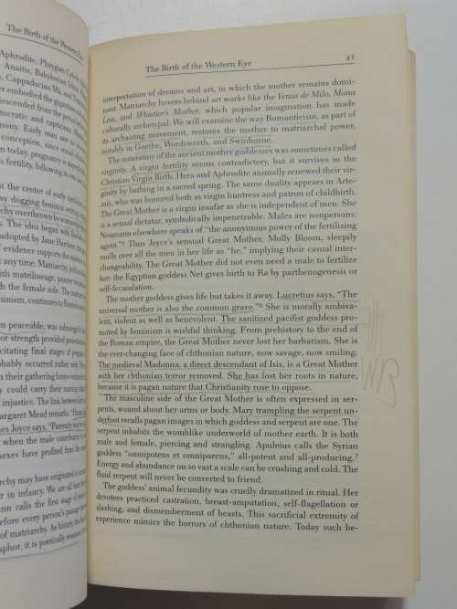 Sexual Personae - Art And Decadence From Nefertiti To Emily Dickinson - Camille Paglia
