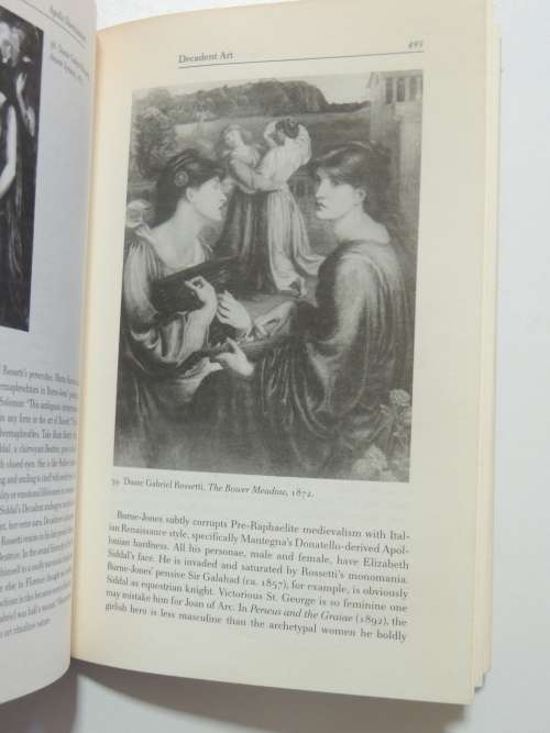 Sexual Personae - Art And Decadence From Nefertiti To Emily Dickinson - Camille Paglia
