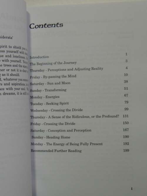 A Druid Abroad - A Quest for the Lady in Druidry - Sandra Parsons