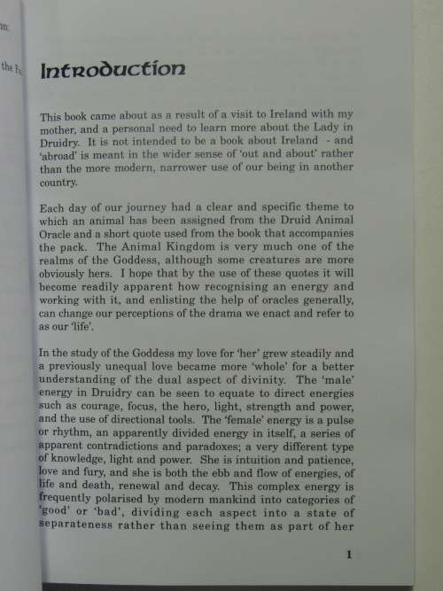 A Druid Abroad - A Quest for the Lady in Druidry - Sandra Parsons