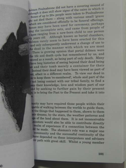 A Druid Abroad - A Quest for the Lady in Druidry - Sandra Parsons