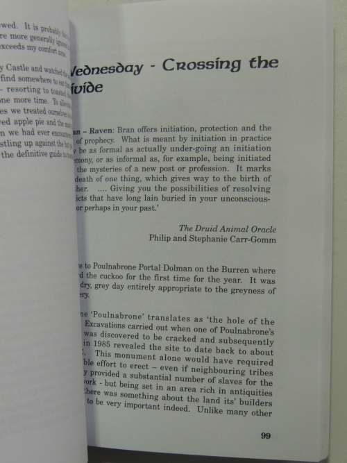 A Druid Abroad - A Quest for the Lady in Druidry - Sandra Parsons