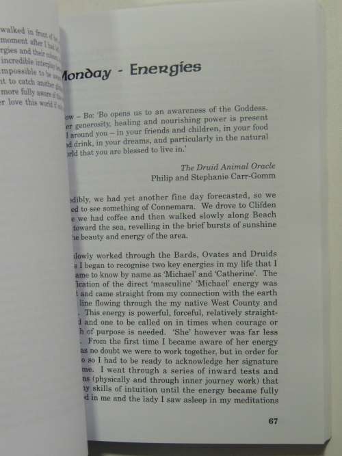 A Druid Abroad - A Quest for the Lady in Druidry - Sandra Parsons