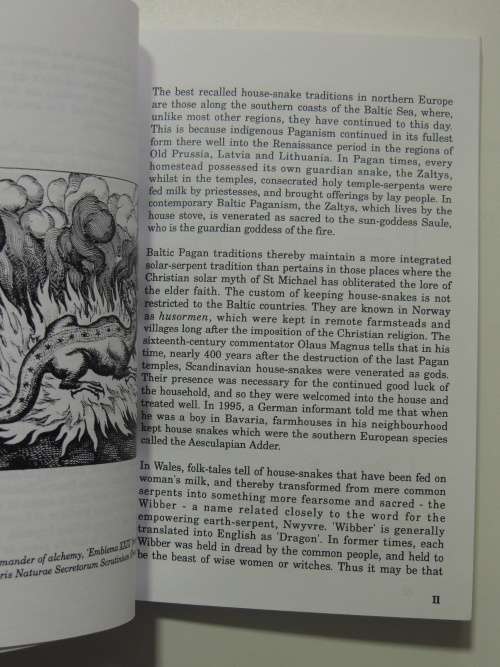Dragons of the West - Nigel Pennick