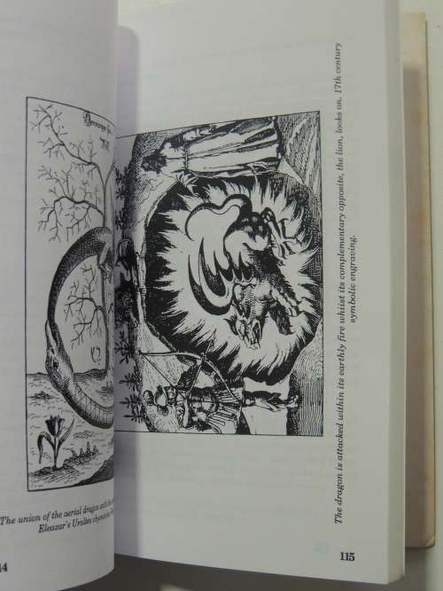 Dragons of the West - Nigel Pennick