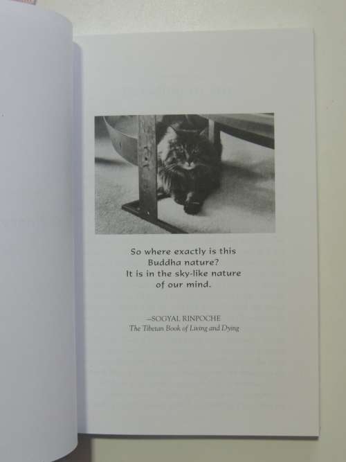 Choosing To Be - Lessons In Living From A Feline Zen MasterKat Tansey
