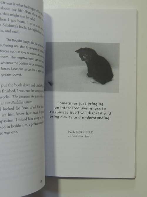 Choosing To Be - Lessons In Living From A Feline Zen MasterKat Tansey
