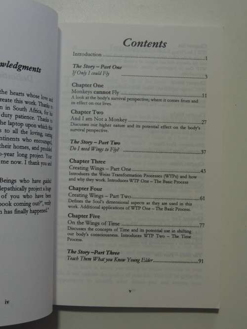 Teaching Monkey To Fly - A Step By Step Guide To Self-Empowerment - Jann Weiss