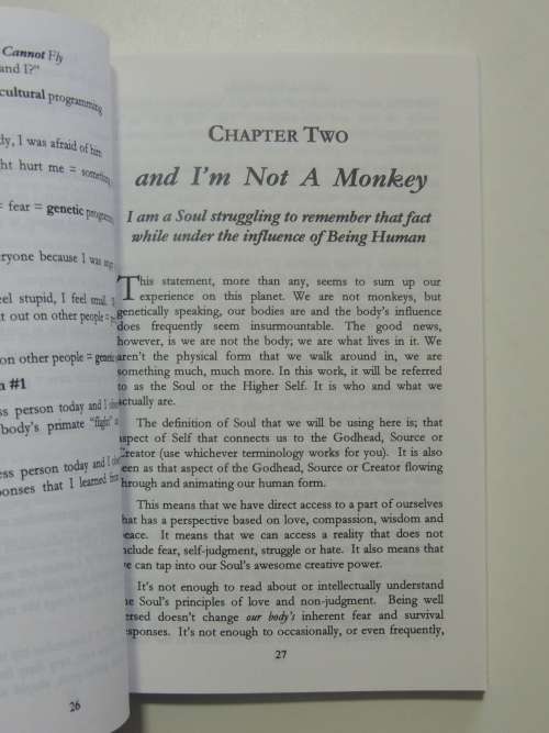 Teaching Monkey To Fly - A Step By Step Guide To Self-Empowerment - Jann Weiss