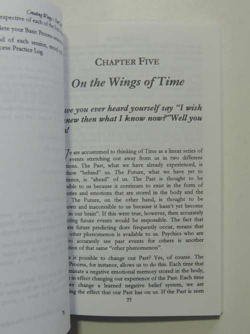 Teaching Monkey To Fly - A Step By Step Guide To Self-Empowerment - Jann Weiss