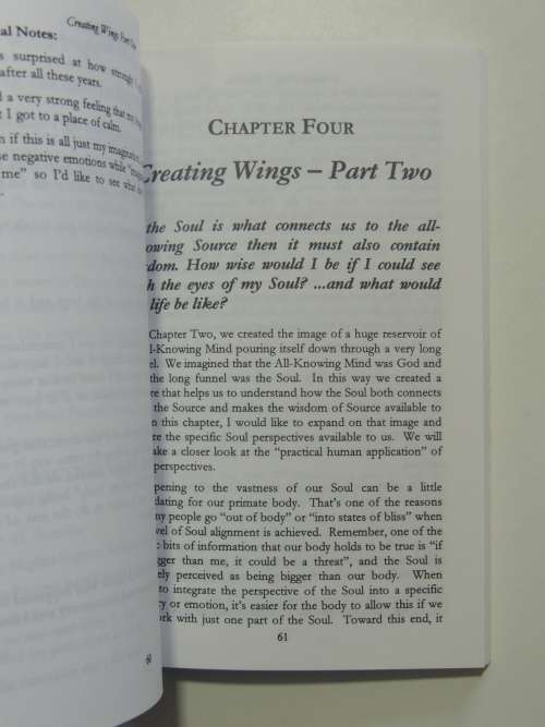 Teaching Monkey To Fly - A Step By Step Guide To Self-Empowerment - Jann Weiss