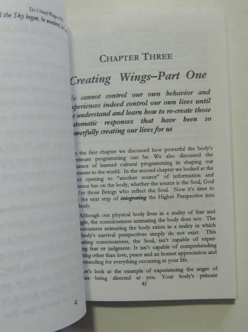 Teaching Monkey To Fly - A Step By Step Guide To Self-Empowerment - Jann Weiss