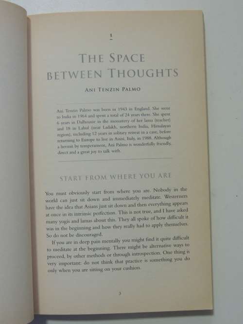 Walking On Lotus Flowers-  Buddhist Women Living, Loving And Meditating - Martine Batchelor