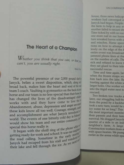 Chicken Soup For The Horse Lover`s Soul II, Inspirational Tales of Passion... - Jack Canfield et al