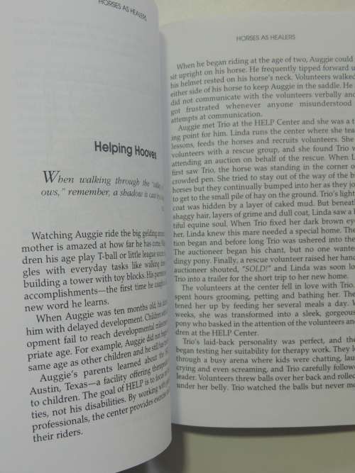 Chicken Soup For The Horse Lover`s Soul II, Inspirational Tales of Passion... - Jack Canfield et al
