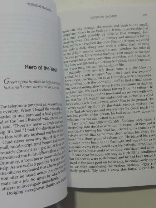 Chicken Soup For The Horse Lover`s Soul II, Inspirational Tales of Passion... - Jack Canfield et al