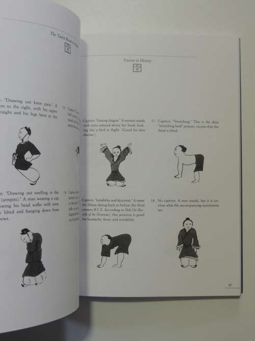 The Taoist Road To Health The Doin Method - Masao Hayashima