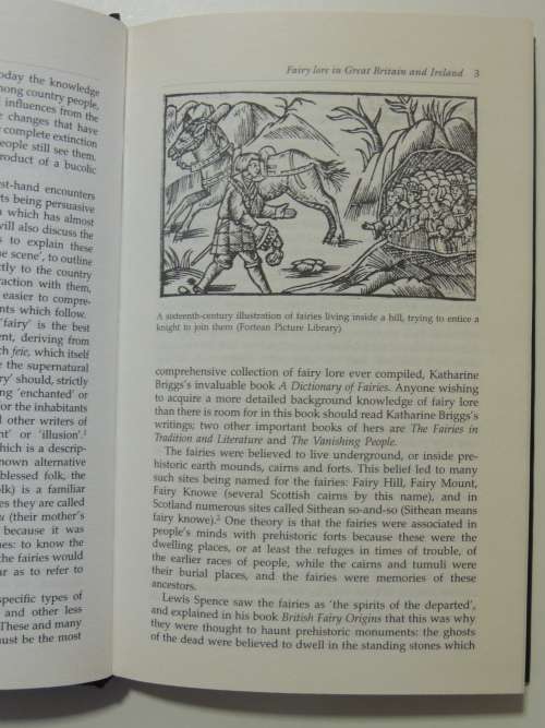 Fairies - Real Encounters With Little People - Janet Bord