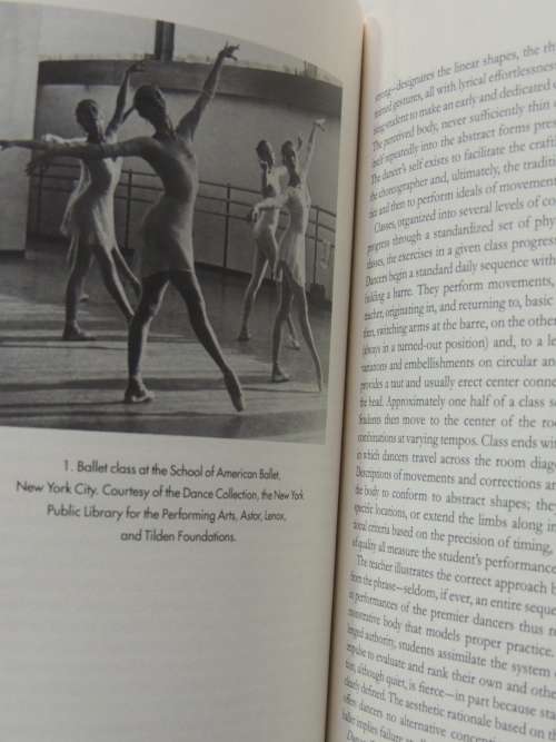 Meaning in Motion - New Cultural Studies of Dance - Ed. Jane C Desmond BOOK