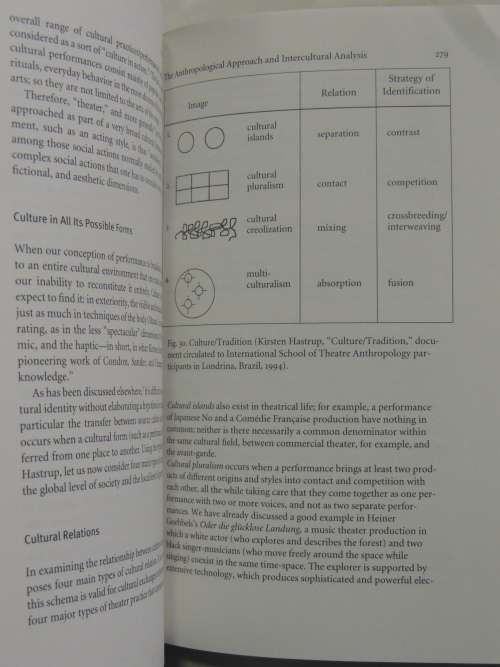 Analyzing Performance - Theater, Dance, and Film- Patrice Pavis BOOK