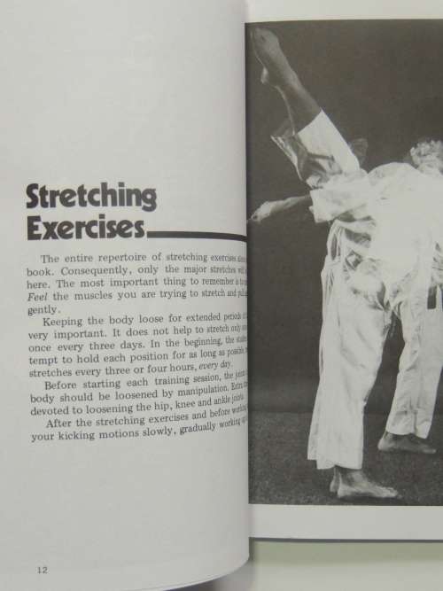 Dynamic Kicks - Essentials for Free Fighting - Chong Lee