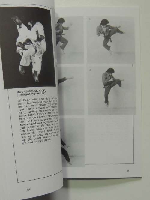 Dynamic Kicks - Essentials for Free Fighting - Chong Lee
