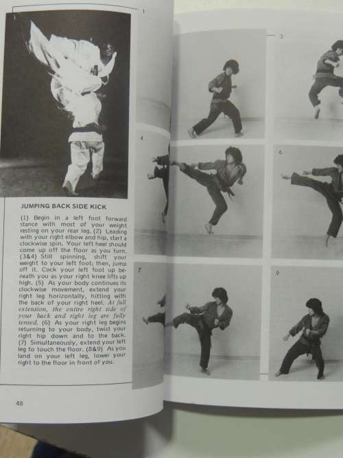 Dynamic Kicks - Essentials for Free Fighting - Chong Lee