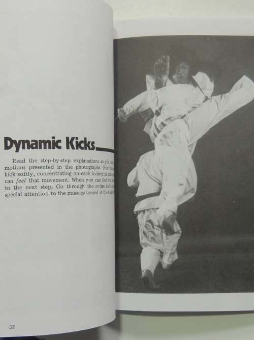 Dynamic Kicks - Essentials for Free Fighting - Chong Lee