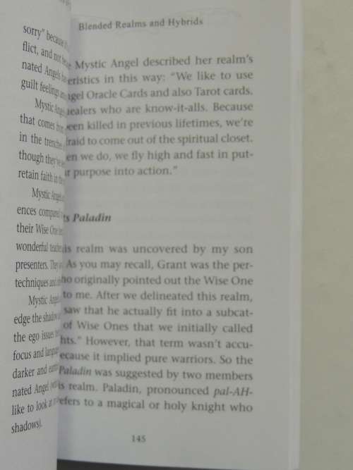 Realms of Earth Angels,More Incarnated Angels,Elementals,Wizards, &Other Lightworkers -Doreen Virtue