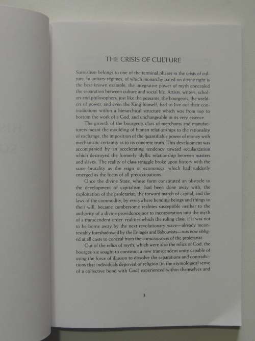 A Cavalier History of Surrealism - Raoul Vaneigem `J-F Dupuis`, Translated by Donald Nicholson-Smith