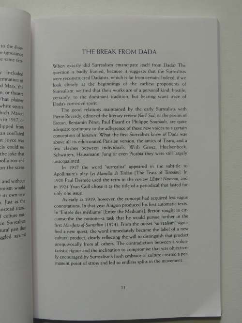 A Cavalier History of Surrealism - Raoul Vaneigem `J-F Dupuis`, Translated by Donald Nicholson-Smith