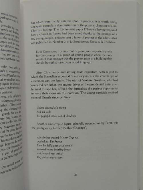 A Cavalier History of Surrealism - Raoul Vaneigem `J-F Dupuis`, Translated by Donald Nicholson-Smith