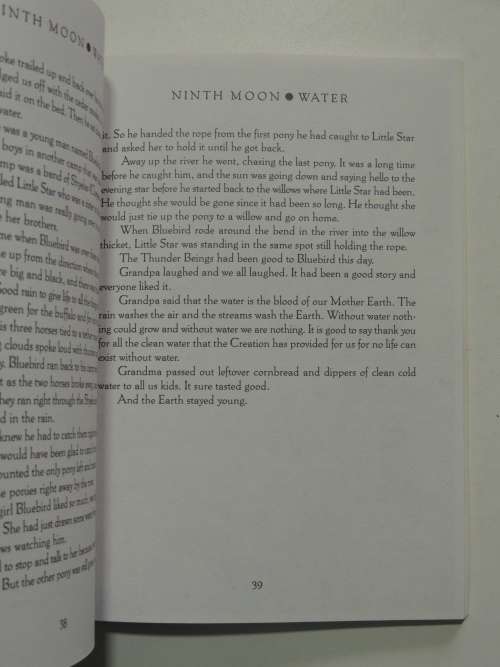 The Indian Way - Learning to Communicate with Mother Earth - Gary McLain
