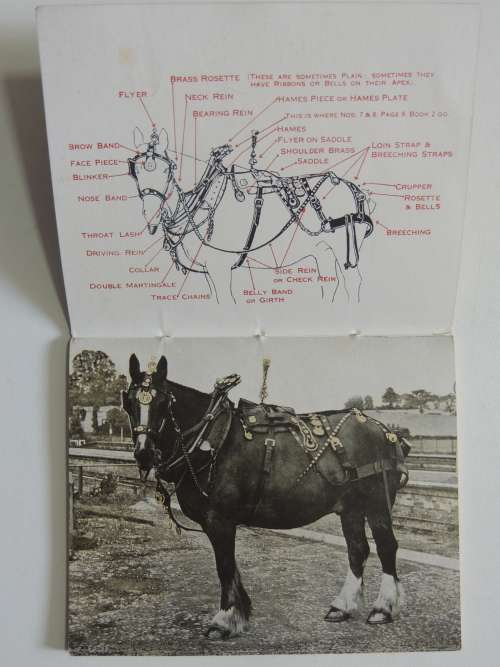 All About Horse Brasses - HS Richards