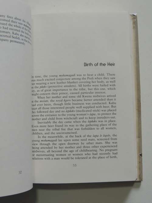 The Porcupine and the Duiker - A Novel of Lebowa- Mapulana Fuller