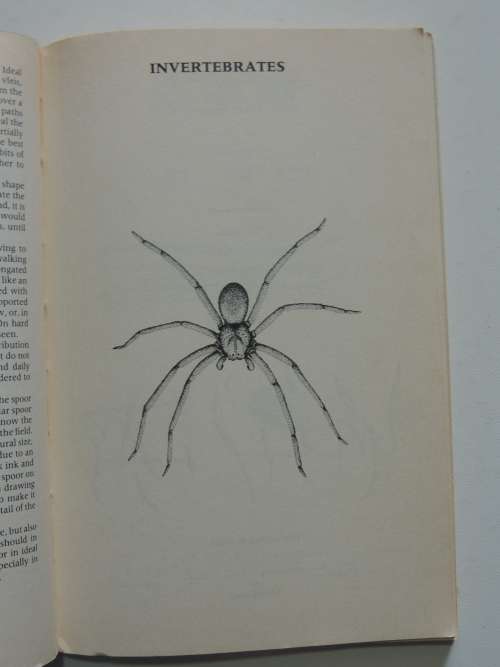 Concise Guide to the Animal Tracks of Southern Africa - Louis Liebenberg (Scarce)
