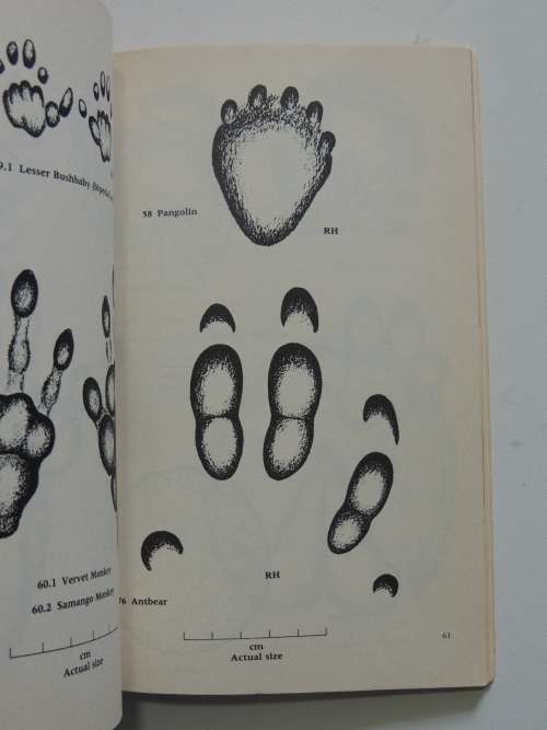Concise Guide to the Animal Tracks of Southern Africa - Louis Liebenberg (Scarce)