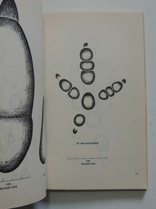 Concise Guide to the Animal Tracks of Southern Africa - Louis Liebenberg (Scarce)