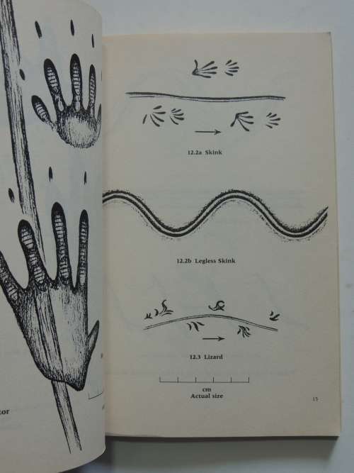 Concise Guide to the Animal Tracks of Southern Africa - Louis Liebenberg (Scarce)