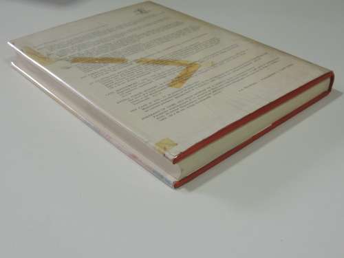 The Story of South African Painting  - Esme Berman ( First Edition) 1975