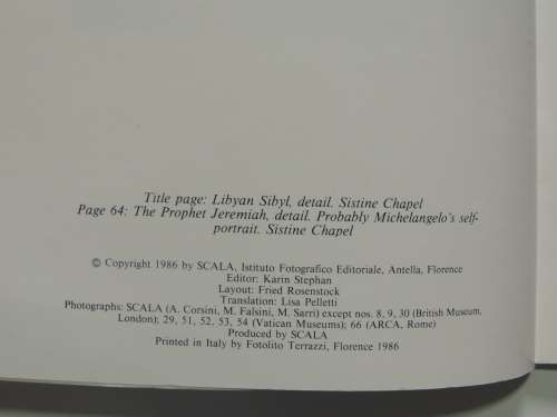 Michaelangelo in the Vatican- Lucia Cecchi, Lutz Heusinger, Fabrzio Mancinelli
