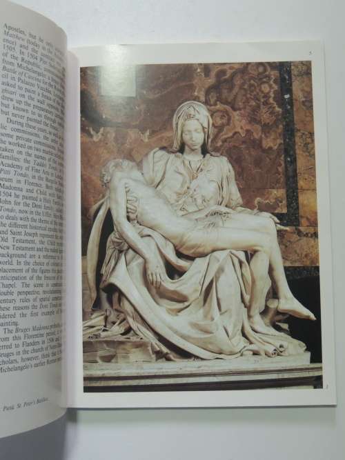 Michaelangelo in the Vatican- Lucia Cecchi, Lutz Heusinger, Fabrzio Mancinelli