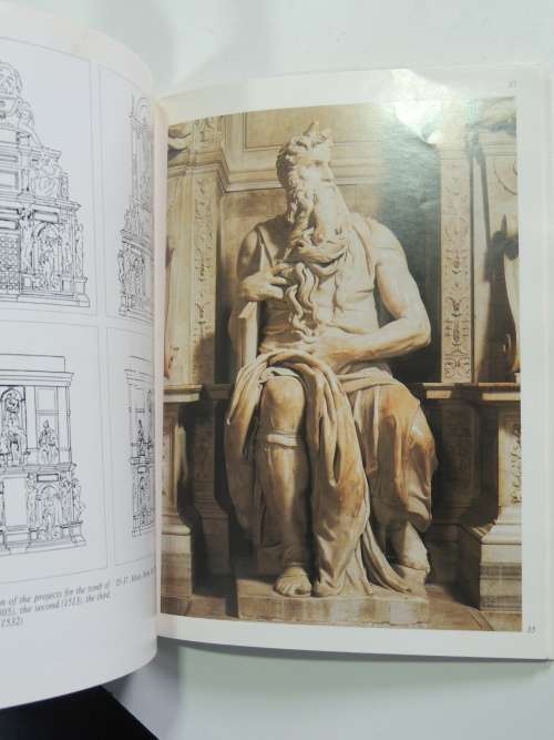 Michaelangelo in the Vatican- Lucia Cecchi, Lutz Heusinger, Fabrzio Mancinelli