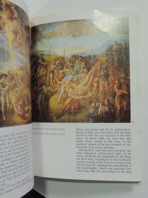 Michaelangelo in the Vatican- Lucia Cecchi, Lutz Heusinger, Fabrzio Mancinelli