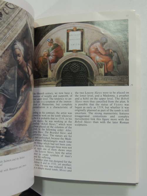 Michaelangelo in the Vatican- Lucia Cecchi, Lutz Heusinger, Fabrzio Mancinelli