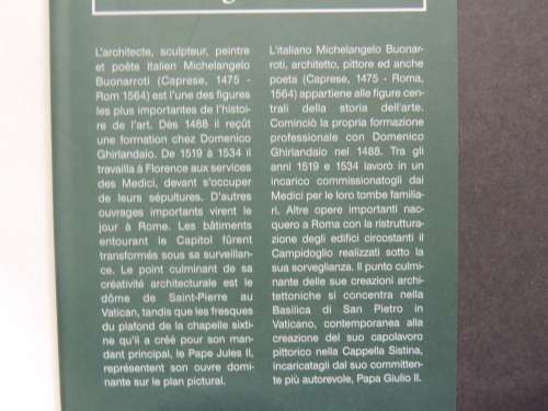 Michaelangelo Buonarroti - Llorenc Bonet