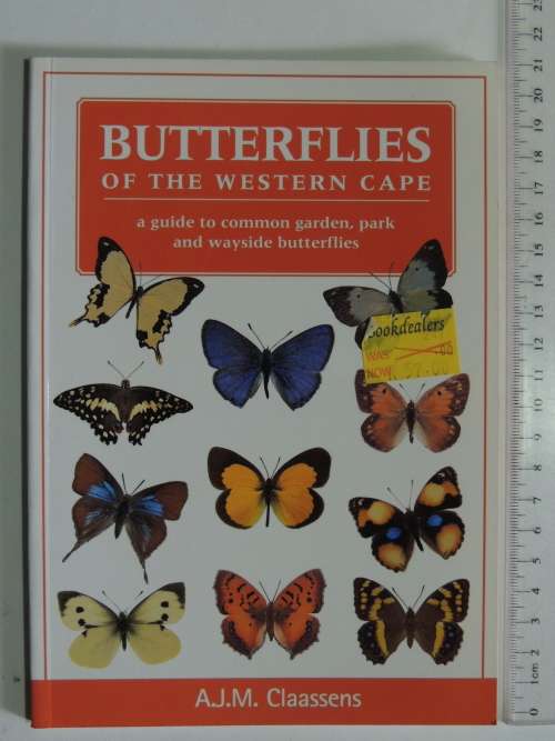 Butterflies of the Western Cape -  A Guide to Common Garden, Park & Wayside Butterflies
