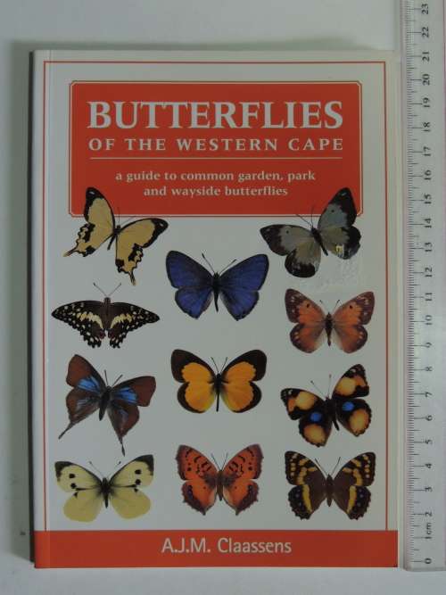 Butterflies of the Western Cape -  A Guide to Common Garden, Park & Wayside Butterflies