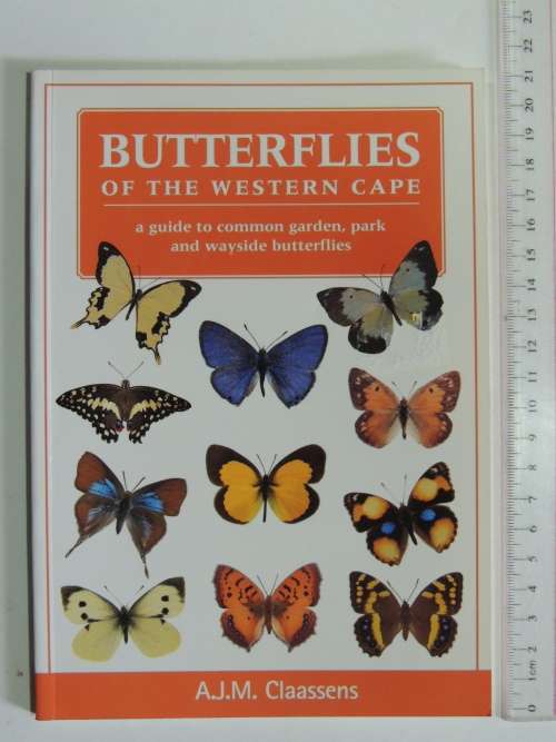 Butterflies of the Western Cape -  A Guide to Common Garden, Park & Wayside Butterflies