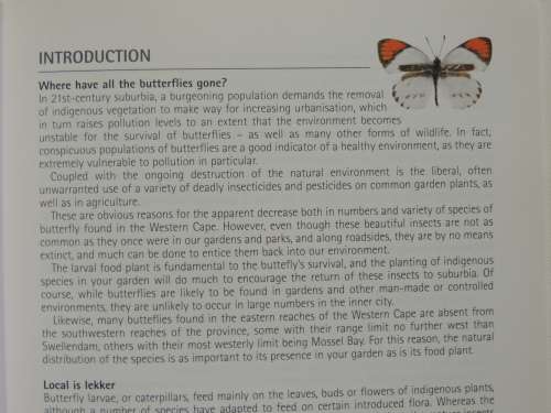 Butterflies of the Western Cape -  A Guide to Common Garden, Park & Wayside Butterflies